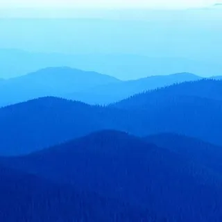 N K.