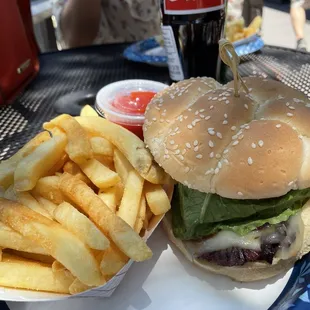 Brisket sandwich and fries!