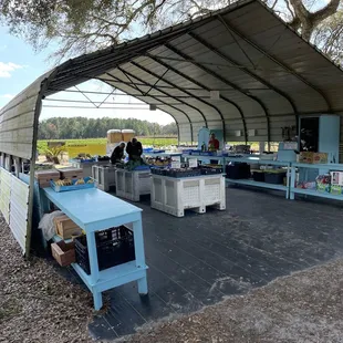 Area selling produce, and to pay for your strawberries.