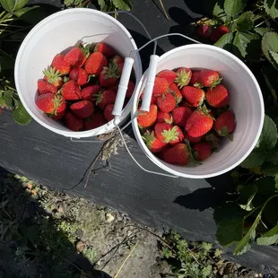 Two buckets half filled