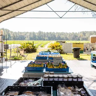 a view of a farm produce stand