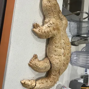Baked alligator bread!