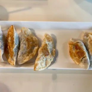 B2. Pan Fried Pork Dumplings