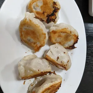 Pork Mushroom String Bean Dumplings