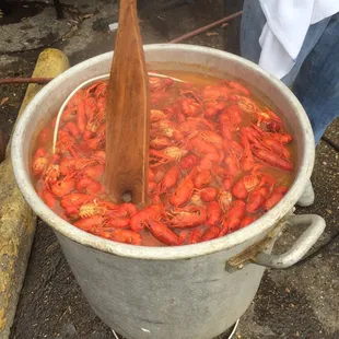 Hot boiled crawfish every Sunday..!