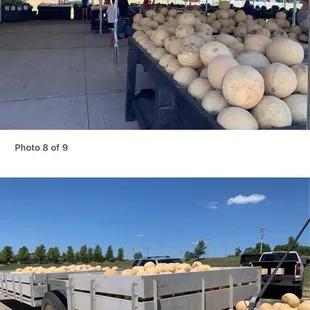 a truck full of fresh produce