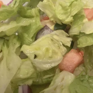 A BUG in my salad.