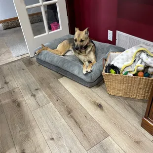 Just relaxing after being pampered!