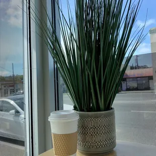 Carmel Macchiato with oatmilk!