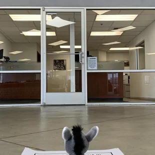 Hanging out for the oil change but these mats never look like my hooves.
