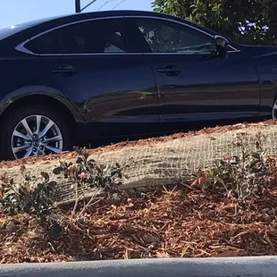 Still in love with my Mazda