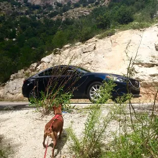 Still in love with my Mazda 6