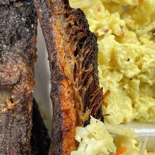 Dried out dehydrated ribs on the bone.  The bone is easier to eat.