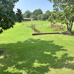 Getting some walking in