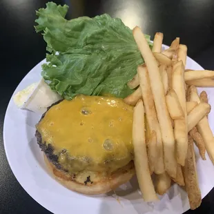 Plain cheeseburger and fries