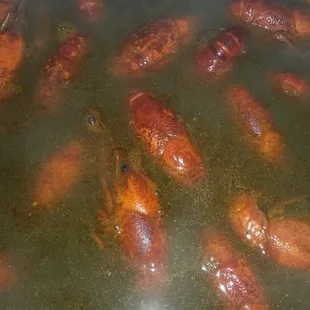 Crawfish still a cooking in that pot .