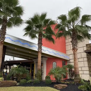 the front of a restaurant with palm trees