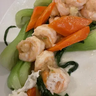 Ocean Tide Shrimp