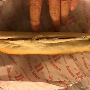 This is double meat? What a crappy sandwich