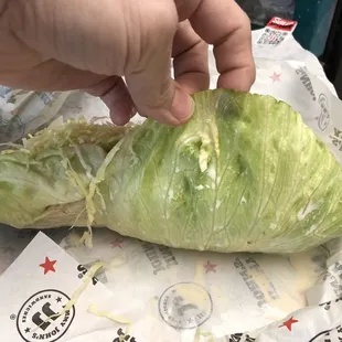 Does this look fresh?  I don&apos;t think so. There is ZERO crunch or texture.