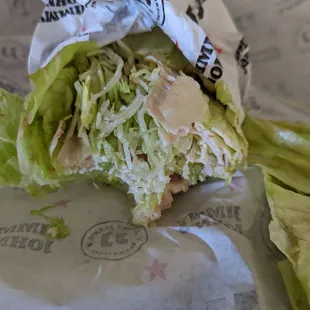 Two slices of meat, basically all lettuce