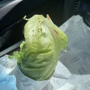 a lettuce wrapped in paper