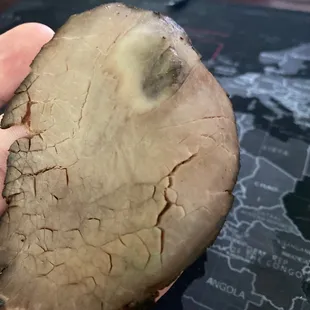 Rotting roast beef that no one apologized for and they tried to charge me to replace.