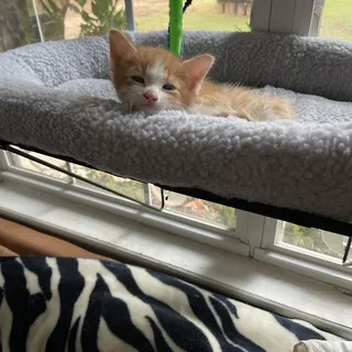 Maggie Y.