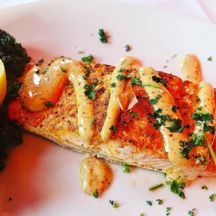 Salmon