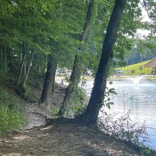 Beautiful trails