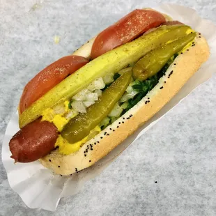 Chicago style Hot Dog