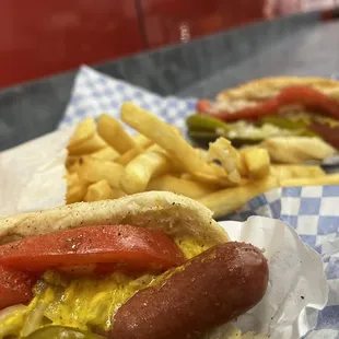 Chicago style Hot Dog and French Fries