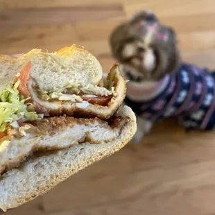 Jimmy's Famous Heros