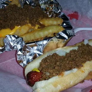 Turkey dog and chili cheese fries