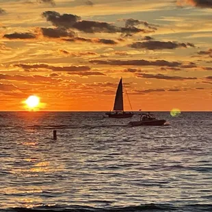 Jimmys Fish House &amp; Iguana Bar, Clearwater Beach
