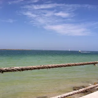 Bonsai Shrimp or Chicken*