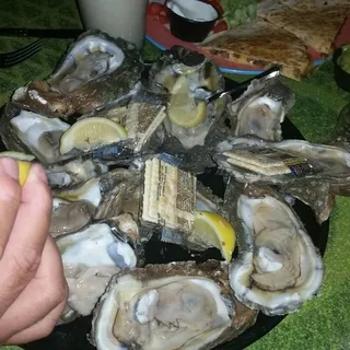 Oysters
