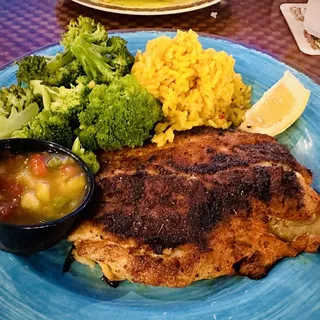 Florida Grouper