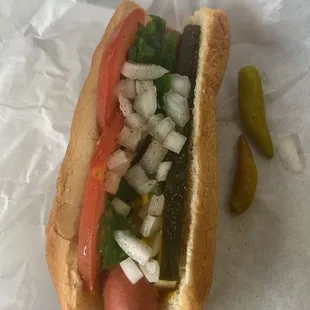 Chicago Hot Dog