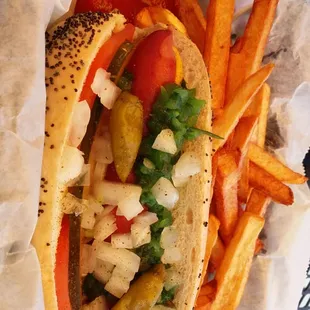 Hot dog and fries