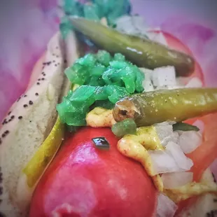Having a Chicago dog to root for the cubbies