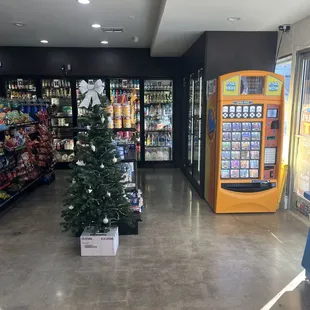 a christmas tree in a store