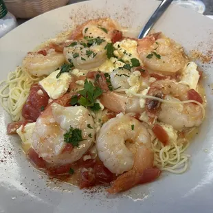 Mediterranean Shrimp