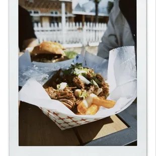 Birria fries