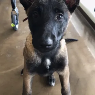 Sam H.