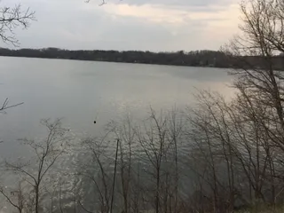 Schaumburg Dinner Club