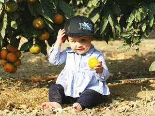 Johnston Farms