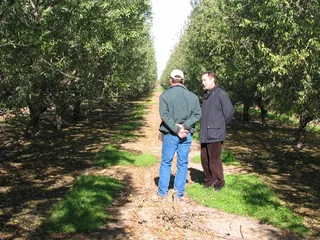Vetsch Farms