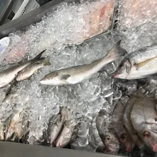 Freshest Fish Guaranteed!