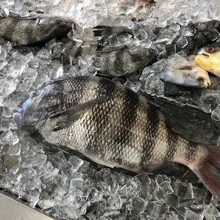 Satisfaction Guaranteed!